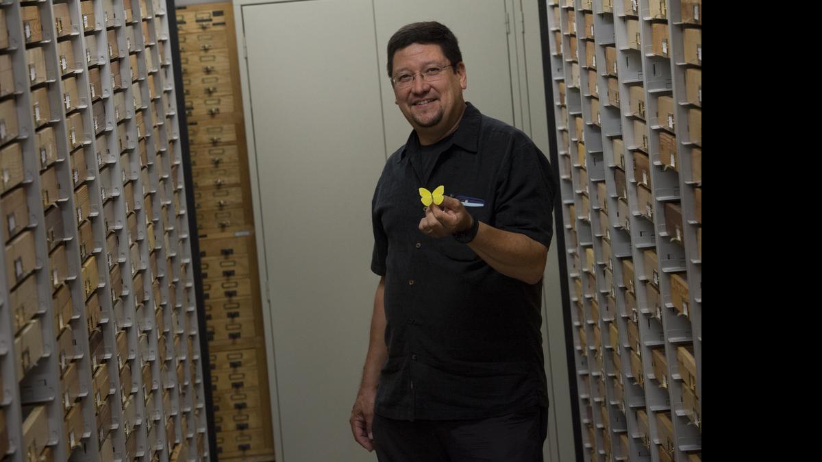 
Sacramento City College professor David Wyatt, shown at the Bohart Museum at UC Davis, used crowdfunding to help fund a Belize research trip.
