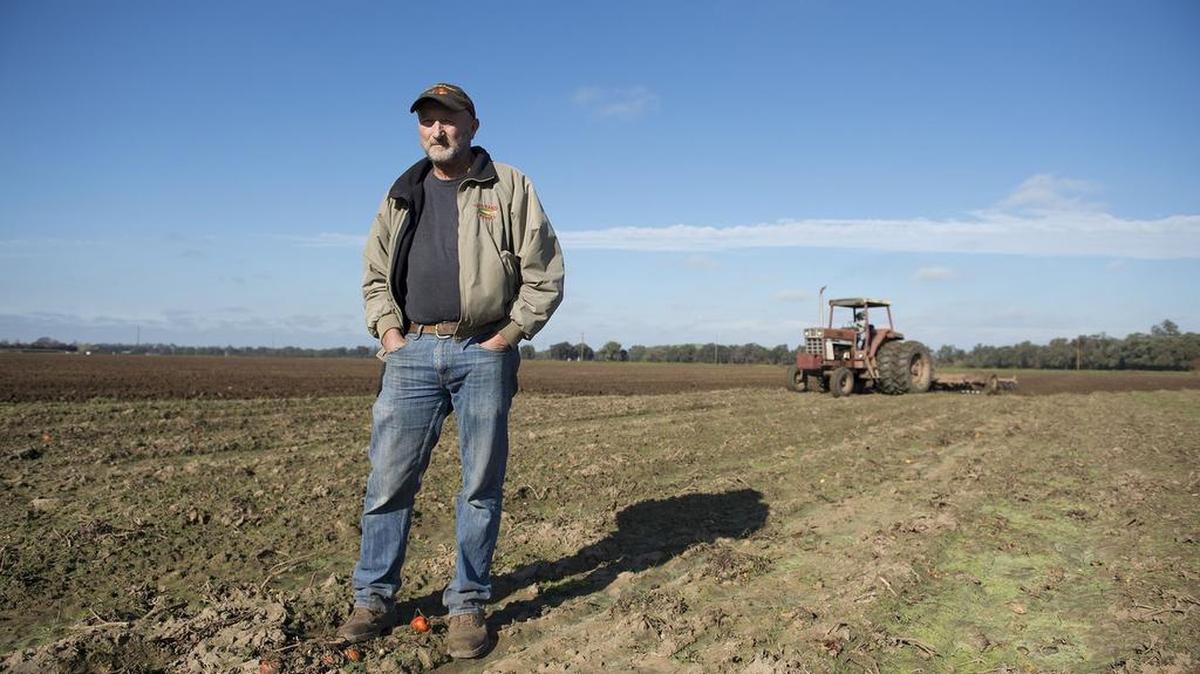 Rick Grimshaw, a produce farmer in Sloughhouse, stands in his field on Tuesday. His land is about 1,500 feet from Cosumnes River Elementary.