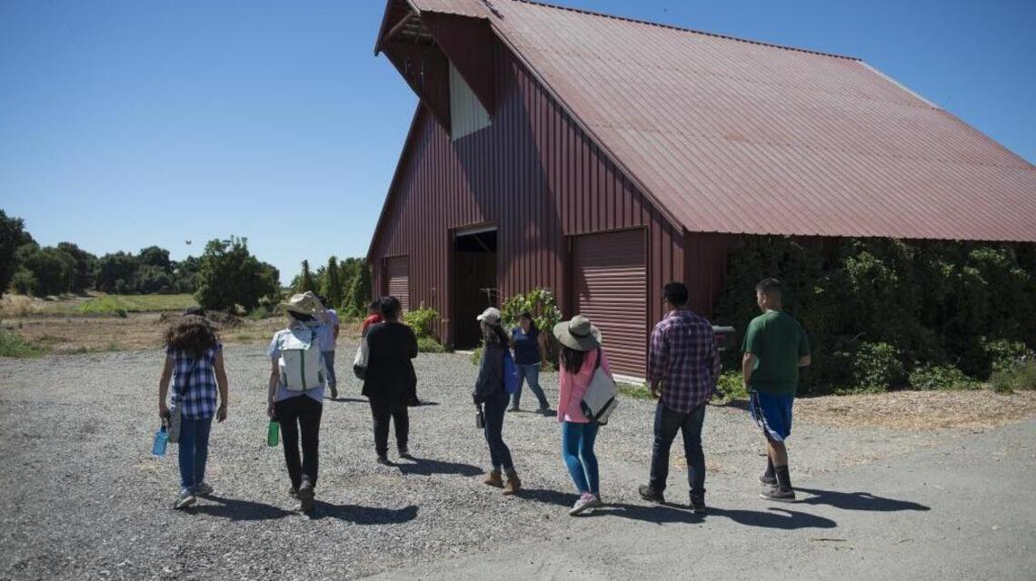 Sacramento State’s F2F Academy tells the story of food