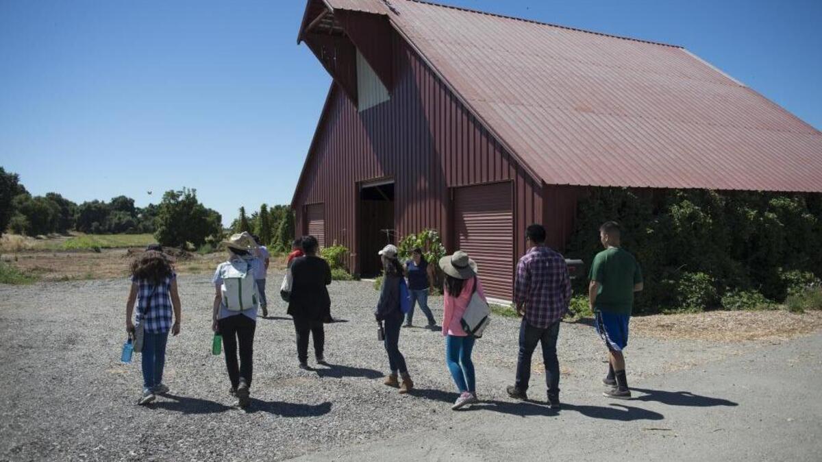 Students with F2F Academy tour the Del Rio Botanical farm, Tuesday, June 19, 2016. The F2F Academy is a farm-to-fork based high school program that teaches students about where their food comes from, jobs in agriculture and dietetic education.