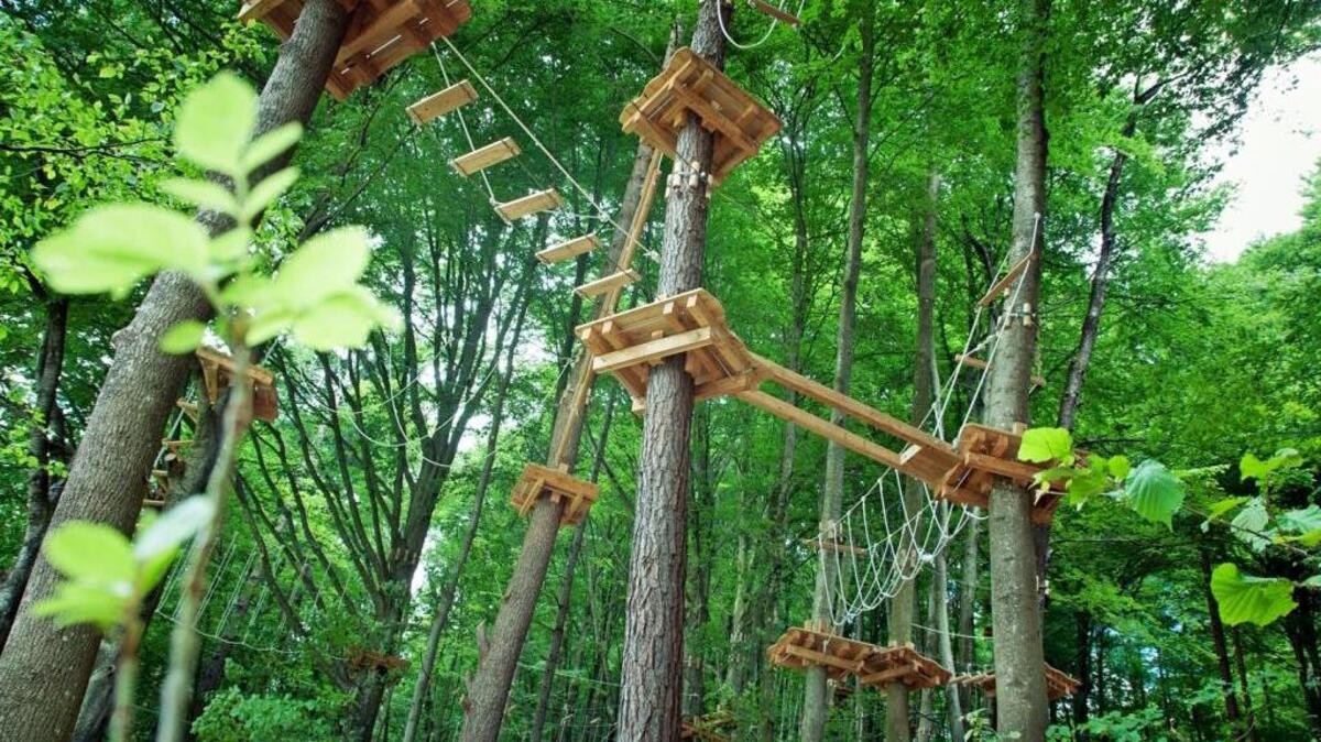 A promotional image of one of Kletterwald’s ropes courses in Austria.