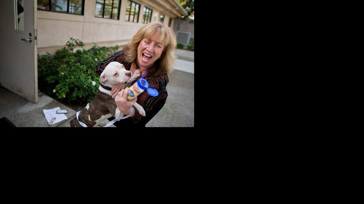 
Front Street Animal Shelter manager Gina Knepp with a year-old pit bull mix slated to be euthanized at the facility in Sacramento. Knepp spent time with the dog Thursday and took her to the office and found her to be social, able to be trained and not a threat and took her off the euthanization list.
