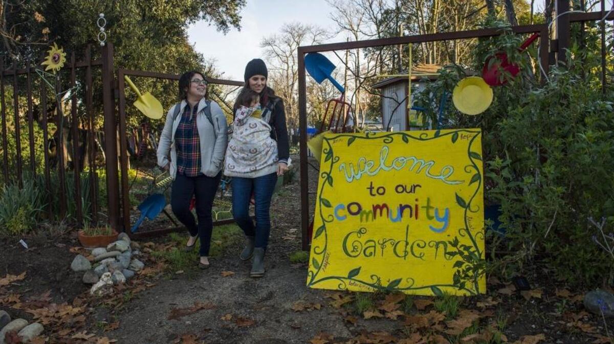 Katie Valenzuela Garcia with the Sacramento Urban Agriculture Coalition walks with Oak Park Sol board member Rebecca Campbell at the Oak Park Sol Community Garden, Tuesday, Dec. 20, 2016. The county Board of Supervisors discussing an urban agriculture ordinance that would allow many different types of urban farming. The Sacramento Urban Agriculture Coalition has set up tours of several kinds of gardens already operating in the county, as well as a couple lots that will begin farming as soon as the ordinance passes.