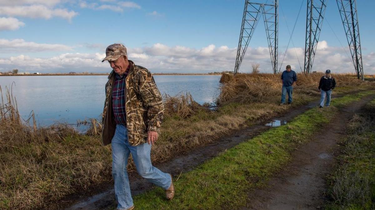 Rice farmer Mike Cole was among those opposing a giant SMUD transmission line set to run through Sutter and Colusa counties. SMUD canceled the project Friday.