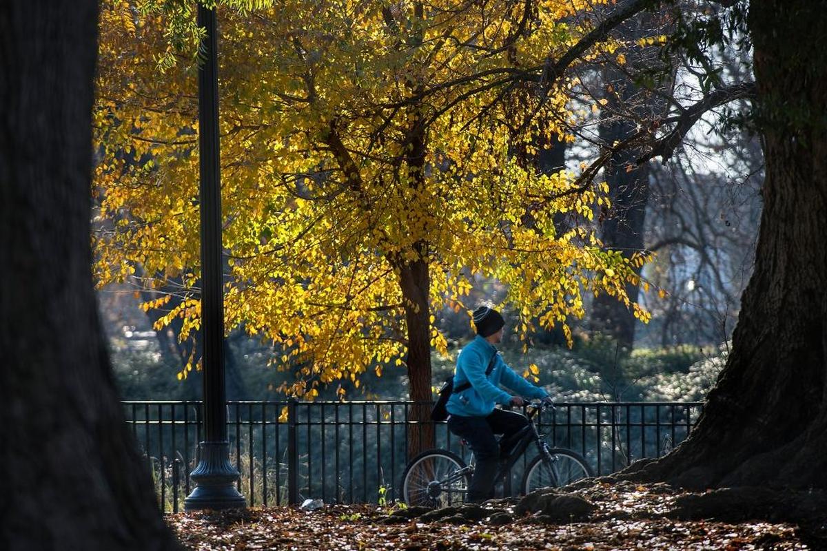 A cyclist rides past the pond in Sacramento’s Southside Park in December 2015.