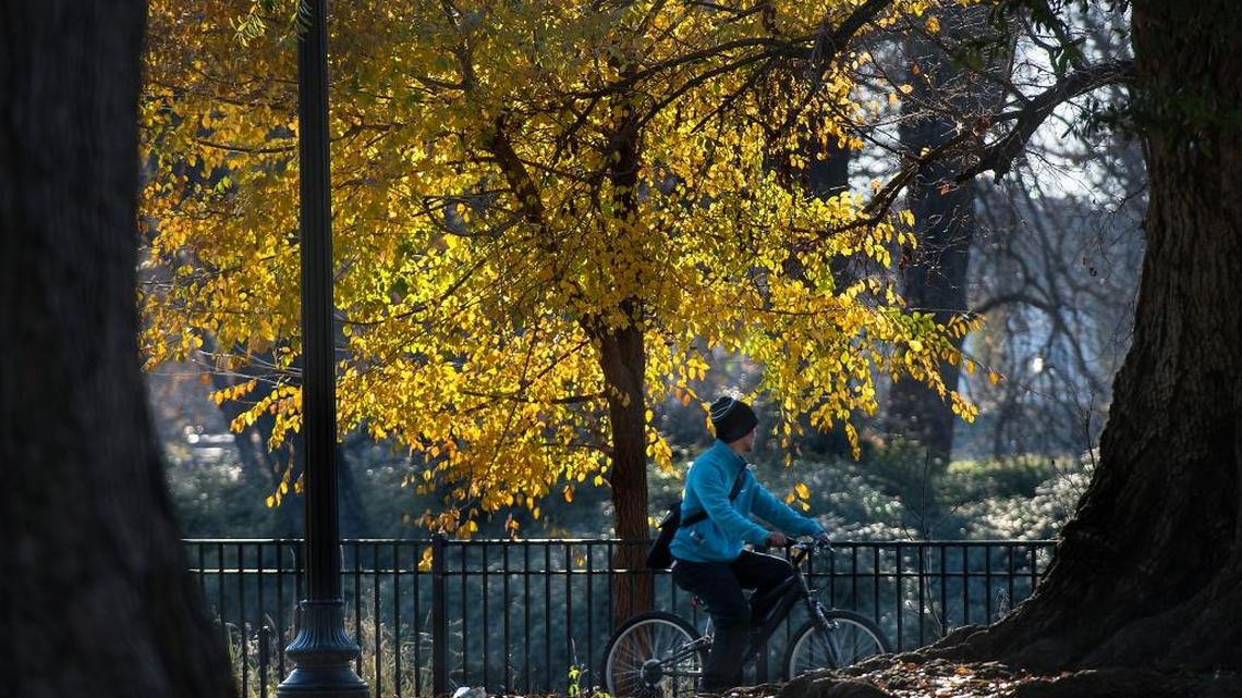 A cyclist rides past the pond in Sacramento’s Southside Park in December 2015. A fundraiser aims to garner enough money to plant cherry trees at the park.