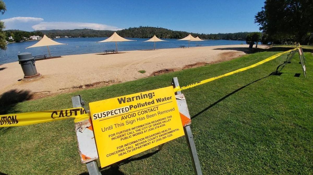 Signs and caution tape signify the closure of the Community Center Pool Beach at Lake Wildwood due to bacterial contamination.