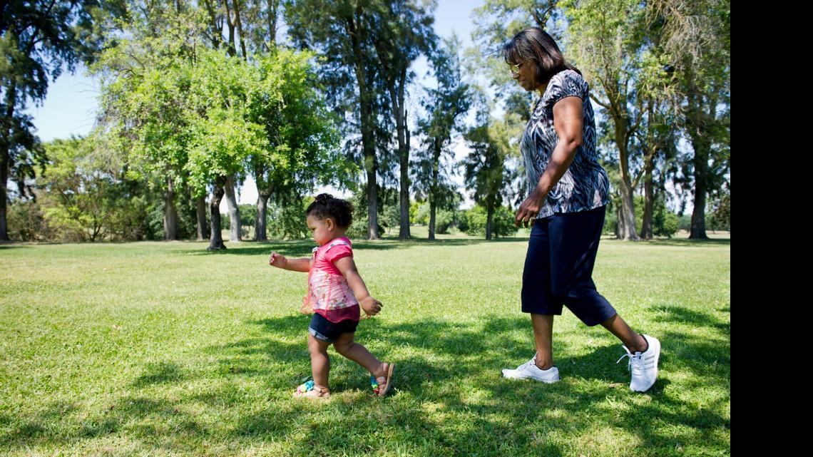 
Arsenia Harrison, 68, of Elverta keeps up with her 2-year-old granddaughter, Zaria Stewart last week at Gibson Ranch County Park. Harrison faced possible amputation because of circulation problems in her leg, but she underwent experimental treatment at UC Davis that has left her able to walk, bike and ride horses.
