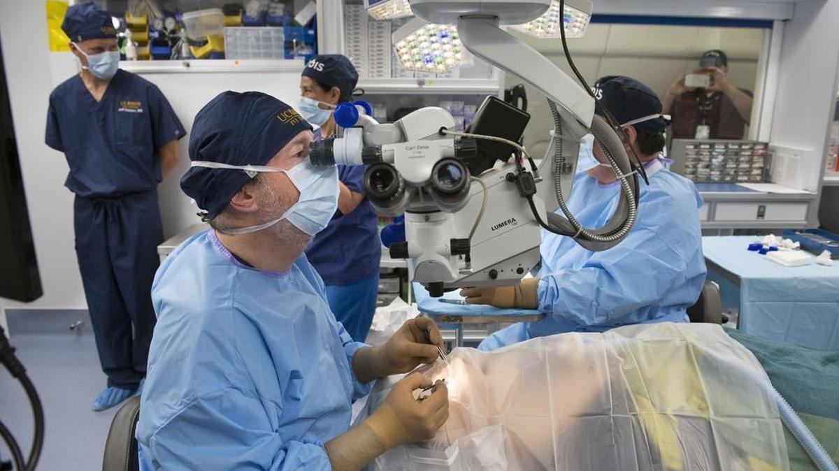 In this file photo from June 8, 2016, UC Davis ophthalmologist James Brandt performs a simulated glaucoma eye surgery on a mannequin onboard the Orbis Flying Eye Hospital, a mobile teaching eye hospital parked at McClellan Airfield in Sacramento Calif.