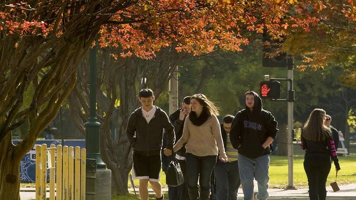 Students beneath a canopy of fall foliage on the campus of Sacramento State in 2015. All 23 campuses in the California State University system will primarily deliver courses virtually in the spring semester.
