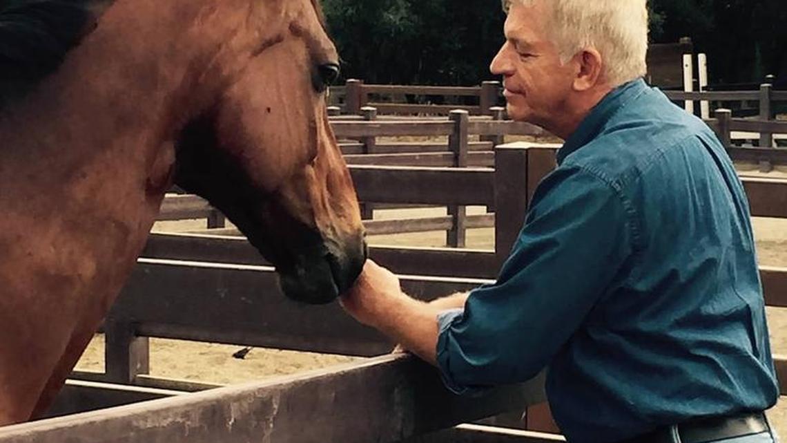 Horses comfort people with early onset dementia, their caregivers