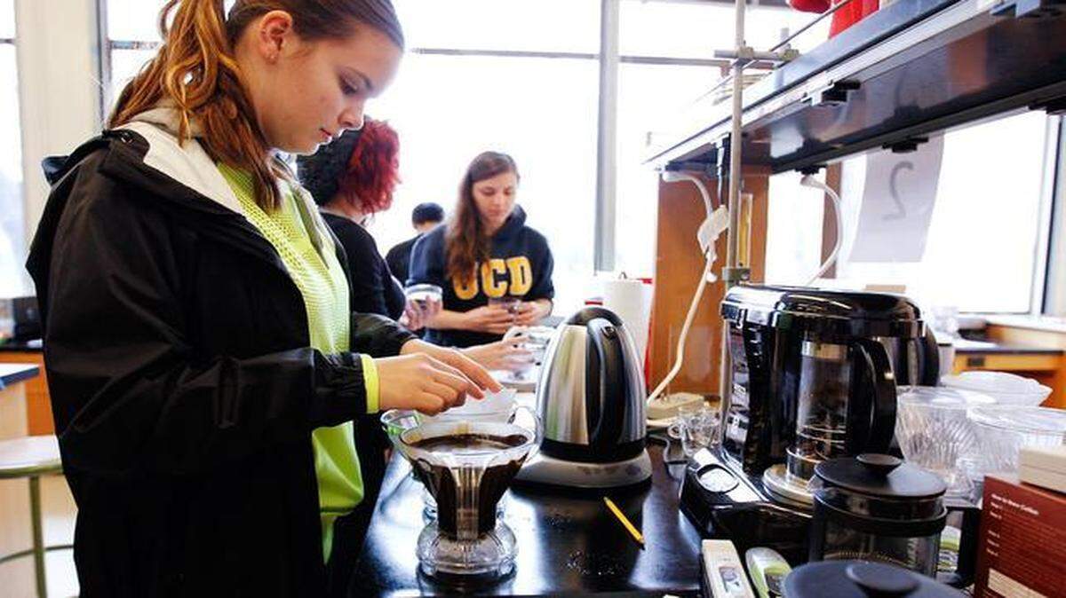 
Students perform tests during a class in 2014 at UC Davis, where a student has been diagnosed with a form of meningitis, university officials announced on Monday. Experts say that the disease is more apt to spread in crowded settings and recommend that anyone who was in contact with the ailing student take preventive antibiotics.

