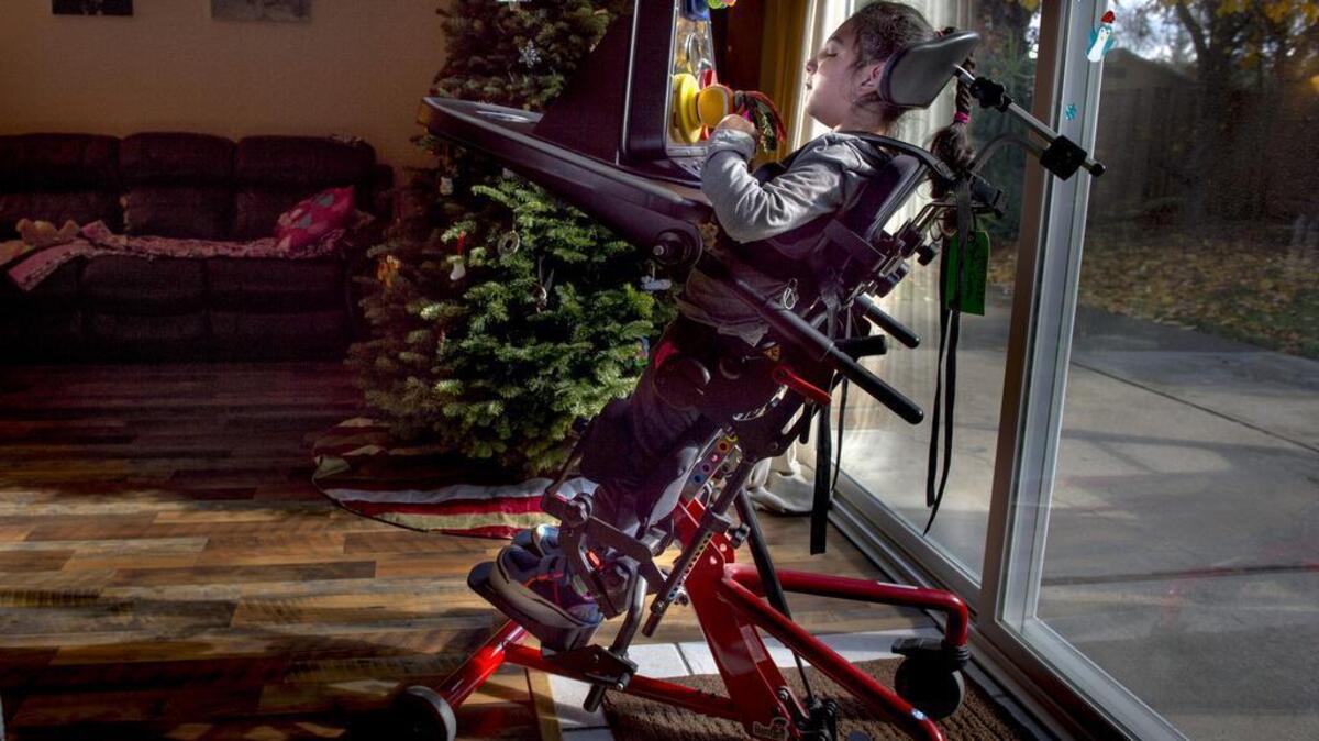 Hayden Cortez, 7, who has cerebral palsy and hip dysplasia, works on a sensory activity toy on her "stander" that helps her mobility, in Elk Grove, Calif., on Friday, Dec. 11, 2015. Hayden is part of surveillance program that catches and treats dysplasia in its early stages at Shriners Hospitals for Children Northern California.