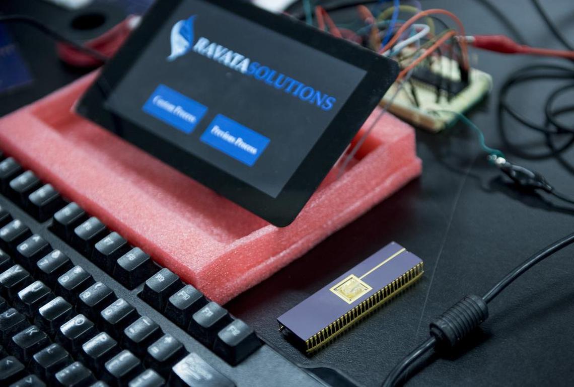 UC Davis graduates Gurkern Sufi and Arshia Firouzi created a microchip device that allows scientists to prepare hundreds of mice embryos for research at a time.