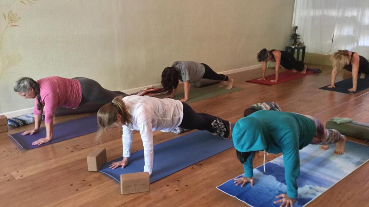 
It’s All Yoga drew a full class for its morning Hatha yoga class on Sacramento’s Free Yoga Day on Monday.
