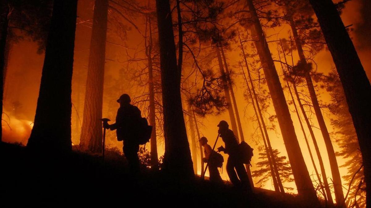 Firefighters at the Angora Fire battle a blaze in South Lake Tahoe on Sunday, June 24, 2007.