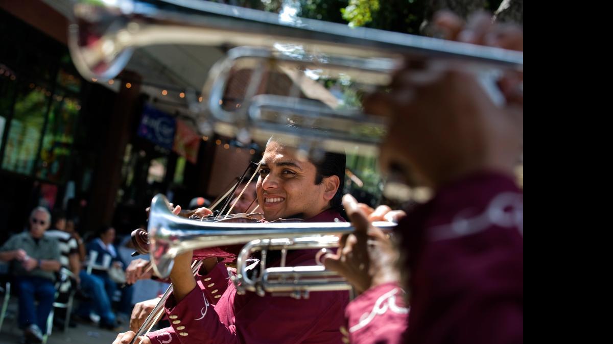 
Jose Ortega of Sacramento performs in 2009 with the Mariachi Mi Tierra band during a Cinco de Mayo celebration on J Street in midtown Sacramento.
