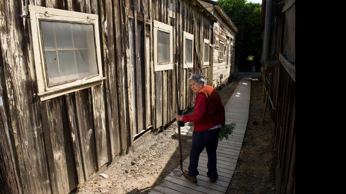 
Yin Kwan Chan, a 91-year-old Chinese resident, walks between her house and her neighbor’s after pulling weeds around her house on Wednesday, May 6, 2015, in Locke, Calif. Locke celebrates its 100th birthday Saturday, May 9. Yin Kwan Chan’s father, Soon Saer Choy, was one of the first Chinese pioneers who helped found the Jan Ying Tong Association that brought the Chinese over to work on levees and railroads and in the orchards and farms of the Delta.

