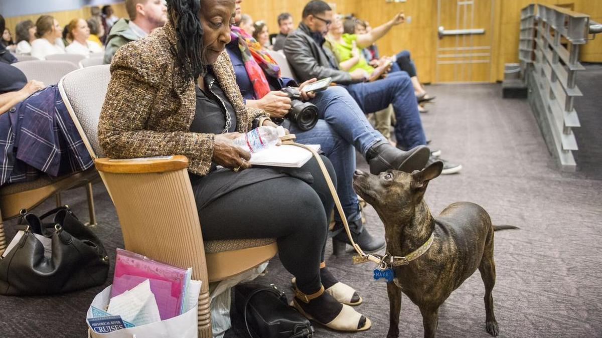 Brenda Flowers waits with her dog Maya to discuss her experiences being homeless as members of the state Capitol community, including lobbyists, staffers and consultants, gathered to discuss the city’s growing crisis.