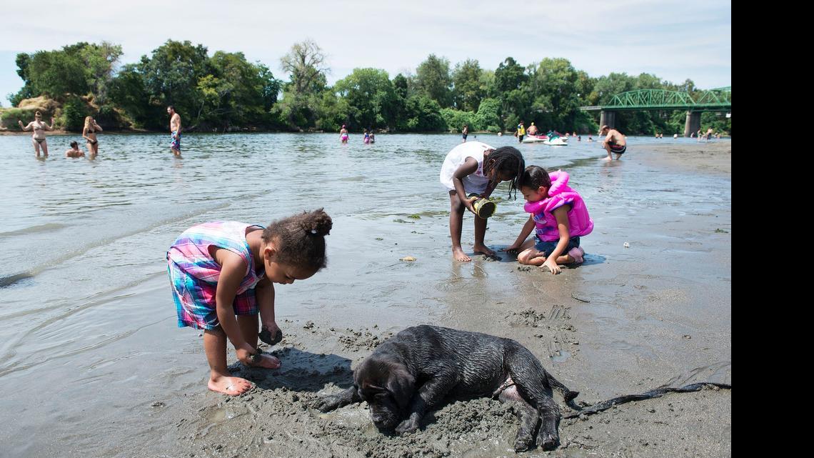 
Two-year-old Lasia Lacey plays in the sand near her aunt’s dog, Bagera, a 10-week-old blue nose mastiff mix who also finds refuge from the heat in the cooler, wet sand on at Discovery Park as the temperature rose over 100 degrees on the last day of June. 
