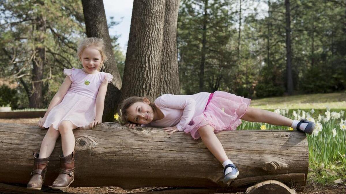 Five-year-old twins, Audrey, left, and Jillian, of Sutter Creek pose for a photograph for their mother, Kristen Betton on Daffodil Hill in Volcano, Calif. on Wednesday, March 2, 2015.