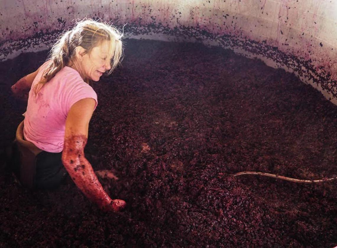Becky De Victoria treads grapes the old-fashioned way at LaRocca Vineyards outside Forest Ranch, Butte County.