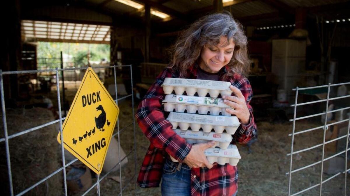 
Kathryn MacRoberts, small farmer at Laughing Duck Farm in Newcastle, prepares to fill an order. MacRoberts supplies eggs and produce to Localis and other Sacramento restaurants.
