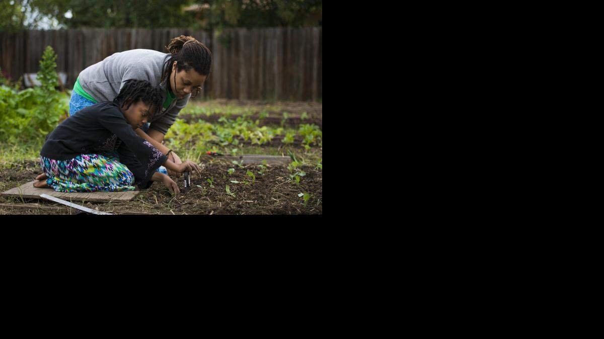 
Yada Yisreal, 8, and Tirtsah Yisreal of Yisreal Family Farms tend to their family’s half-acre of vegetable garden in October. The Yisreal family is at the forefront of the urban farming and sustainable agriculture movement, which was aided Tuesday by Sacramento’s City Council passing a city farming ordinance. 
