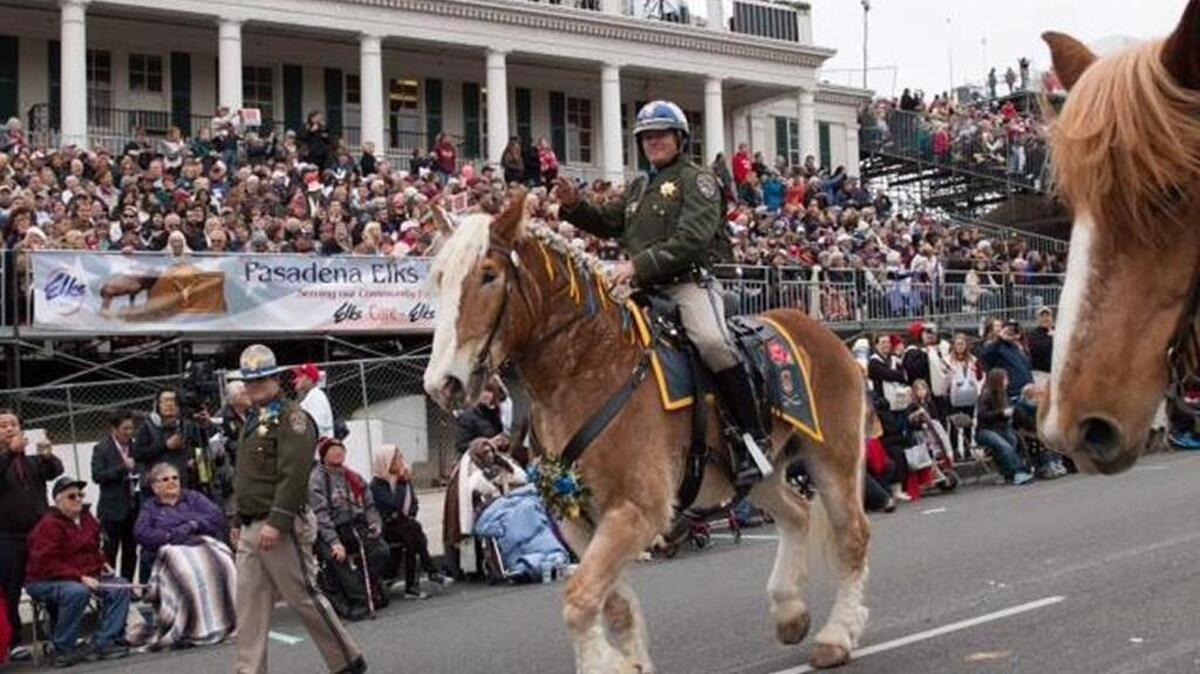 The California Highway Patrol’s Mounted Patrol Unit participates in the 2017 Rose Parade. The unit will again take part in the annual parade in Pasadena on Jan. 1., 2018.