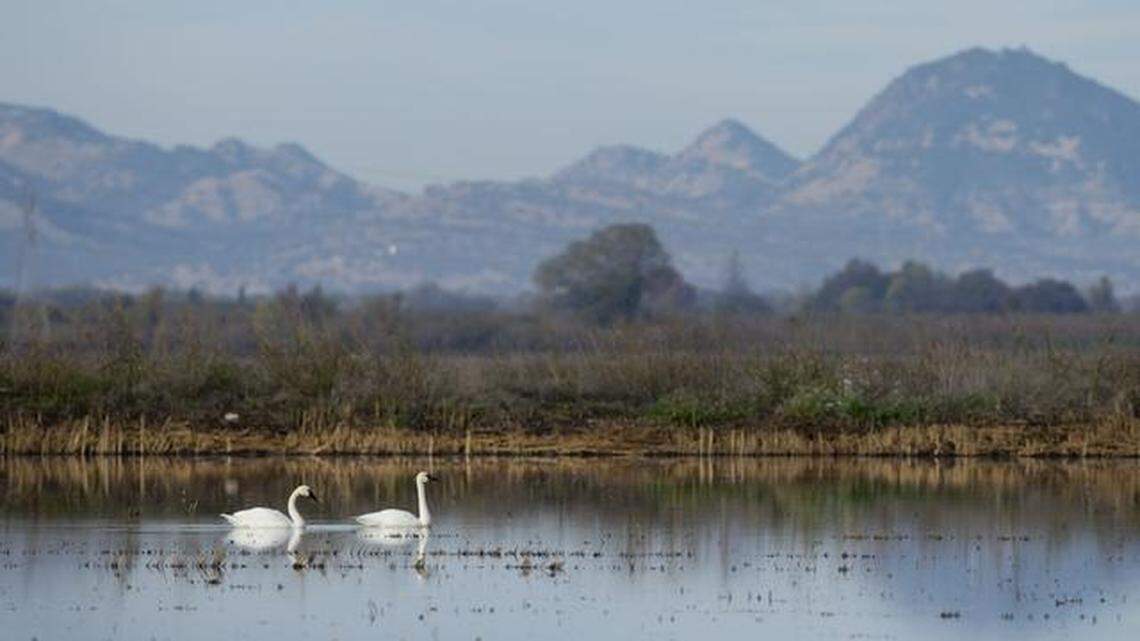 2 years later, Sutter Buttes renaming remains under state review with no decision