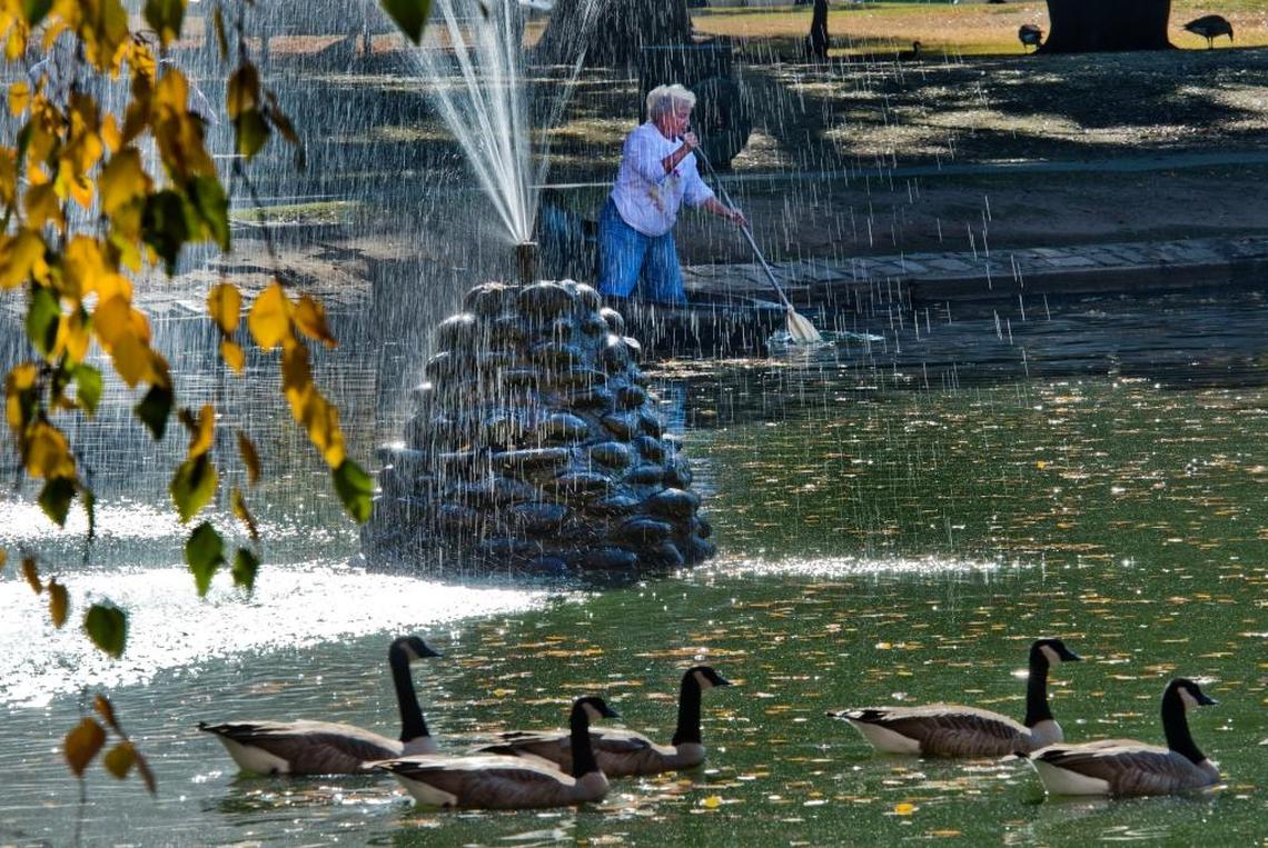 East Sacramento volunteer Judy McClaver preserves the habitat of birds by picking up trash in a rowboat on McKinley Park pond in 2013. 