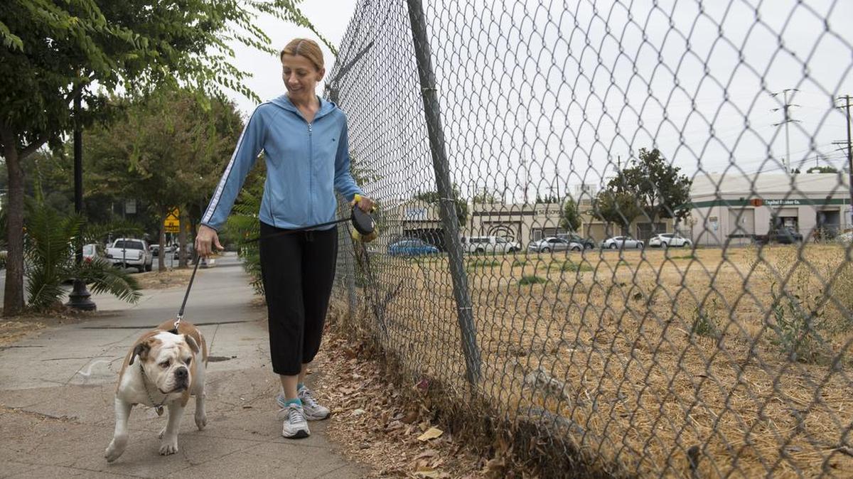
Ivana Bisel walks her dog Rocky, an Olde English Bulldog, past a vacant lot at the corner at 19th and Q Streets in Midtown Sacramento, Wednesday, Sept. 30, 2015. The Sacramento City Council approved a plan Tuesday night to construct a dog park and community garden in the long-vacant plot and will name the park after civic watchdog and longtime midtown activist Brooks Truitt.
