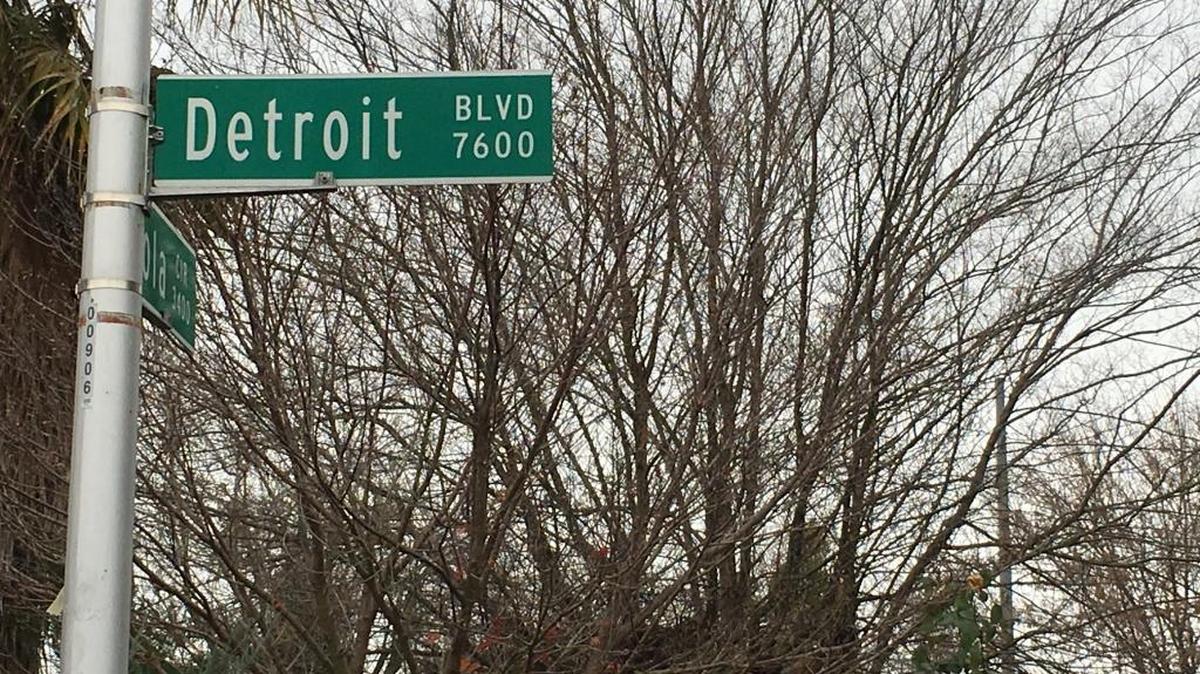 Neighbors along Detroit Boulevard in the south Sacramento neighborhood of Meadowview have organized a community association.