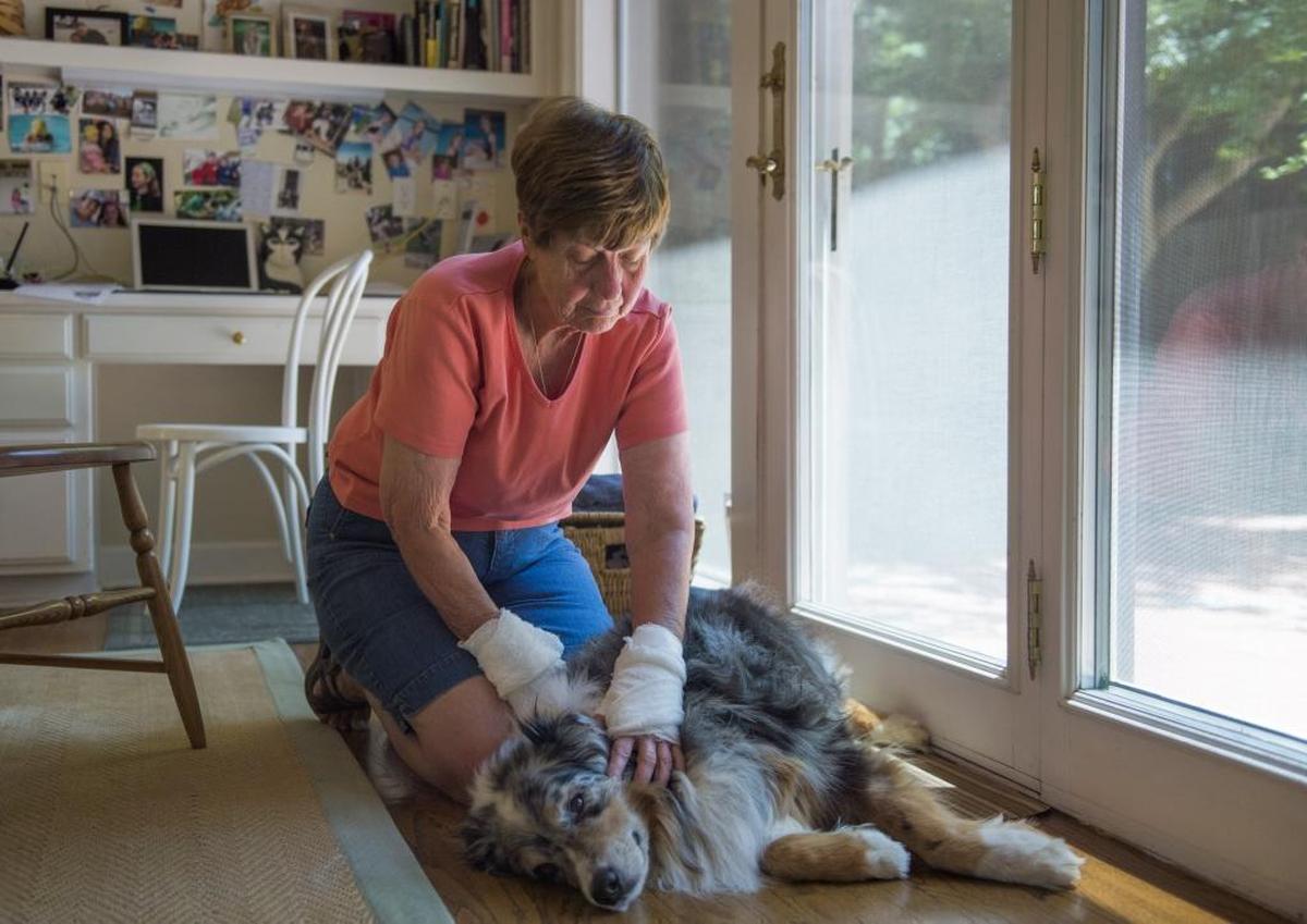 Geri Bigelow and Gus escaped the attack with relatively minor injuries.