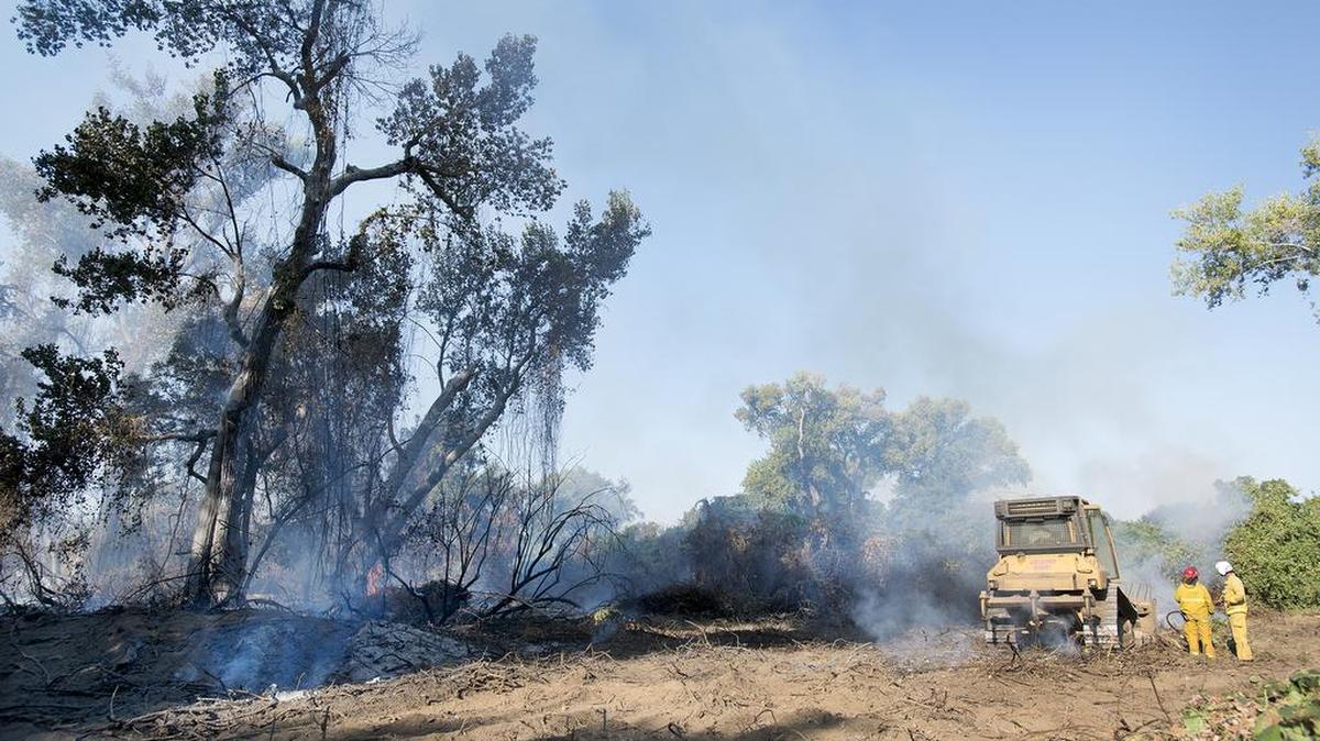 
A fire captain and dozer operator talk where a fire burned brush and trees on Tuesday, September 8, 2015, in Sacramento, Calif. Sacramento Fire Department crews battled the two-acre fire about a half-mile east of Discovery Park on the north side of the American River.
