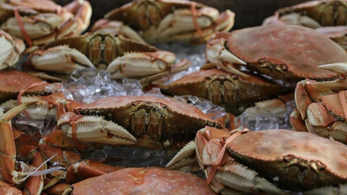 State officials have pronounced crab caught in waters off Southern California fit for human consumption.