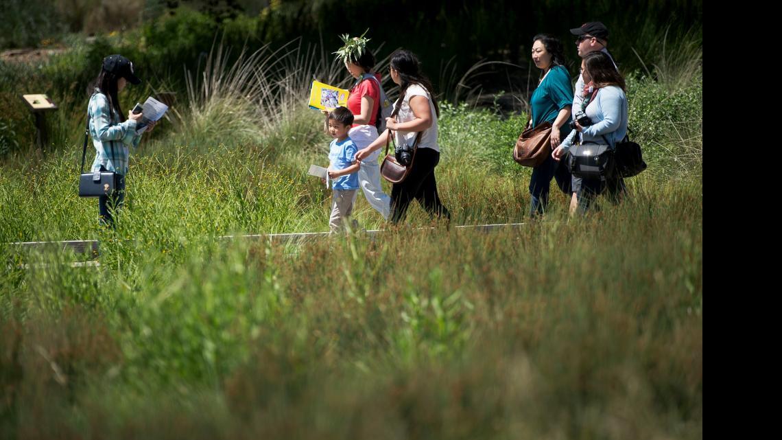 
People tour the new UC Davis Arboretum GATEway Garden on Sunday during a dedication ceremony and family festival.
