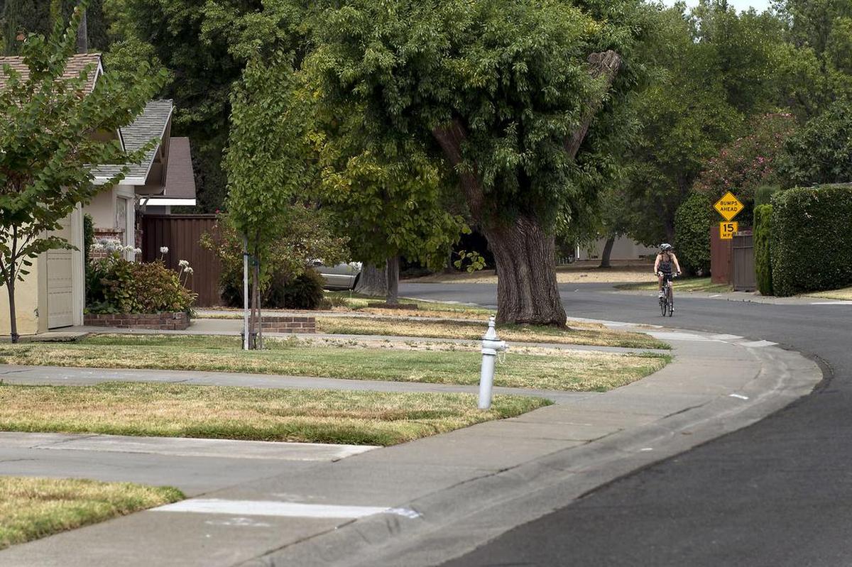 A biker peddles down a Sacramento neighborhood where several of its lawns are brown.