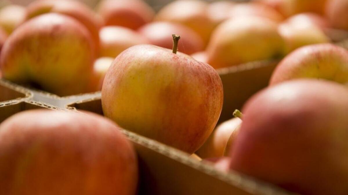 Unpasteurized apple juice from High Hills Ranch contained bacteria that sickened several people, officials have confirmed.