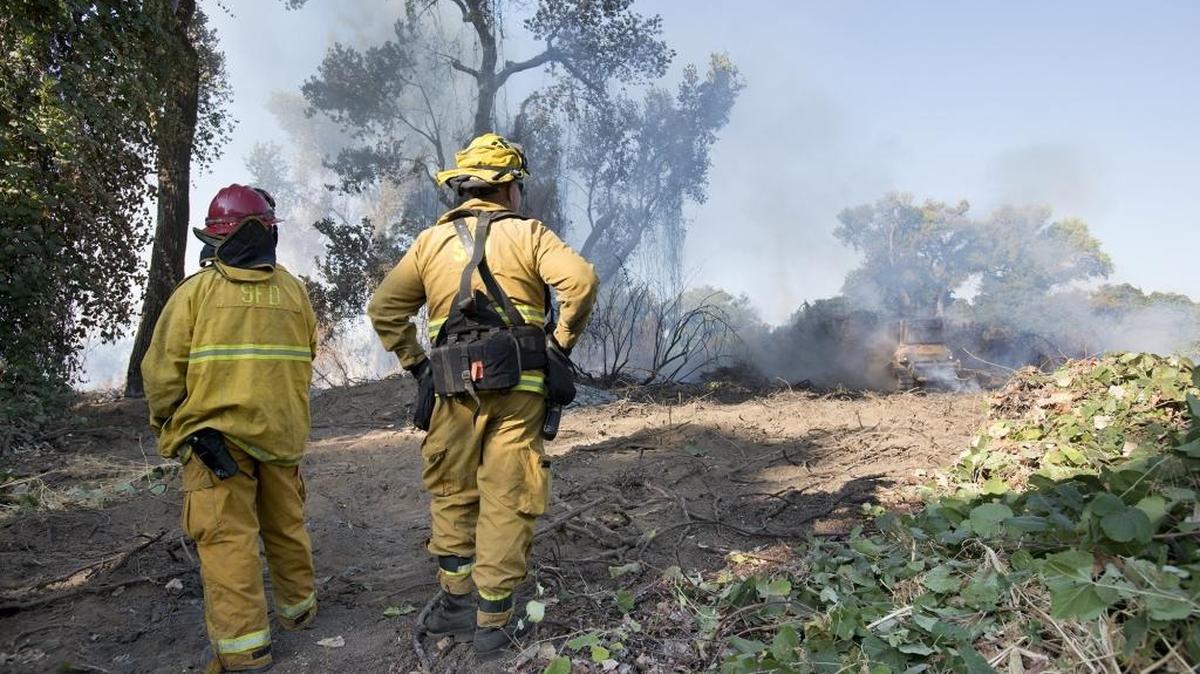 
Firefighters watch a bulldozer clear brush where a fire burned approximately 2 acres on Sept. 8 in Sacramento. Sacramento Fire Department crews battled the fire about a half-mile east of Discovery Park on the north side of the American River.
