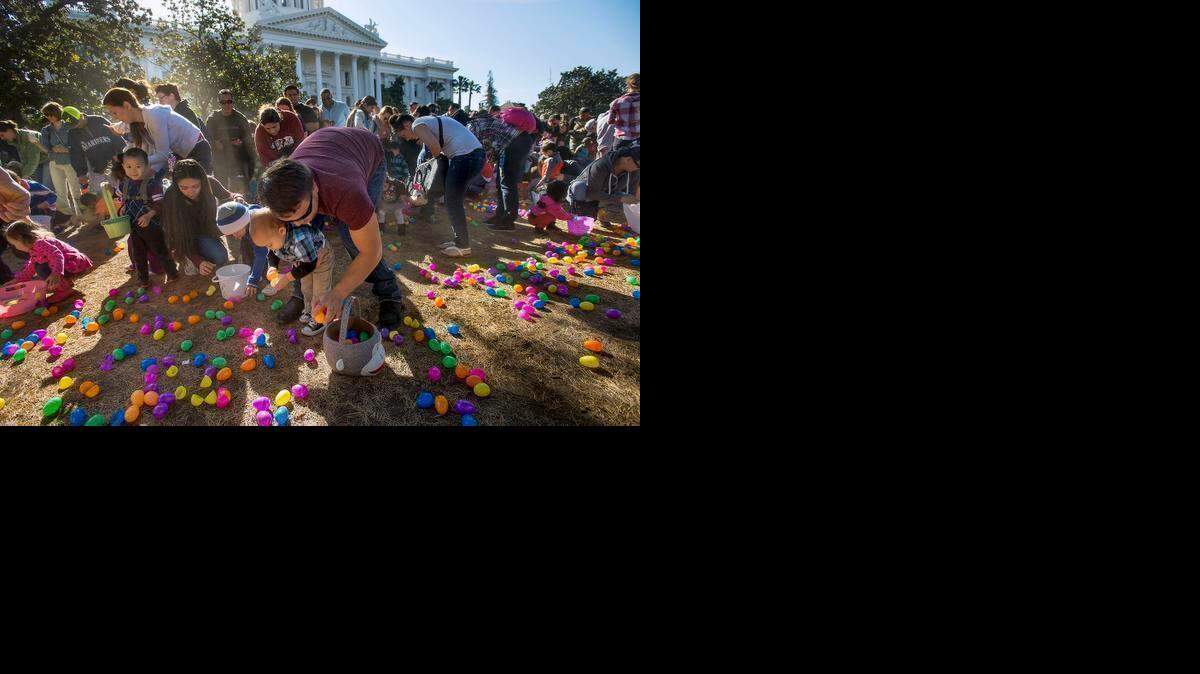 
Rich Smith of Sacramento, center, helps his son Charlie gather plastic Easter eggs Saturday at the state Capitol. The nonprofit Blue Heart International tried to set the record for the largest egg hunt in the world with 510,000 eggs.
