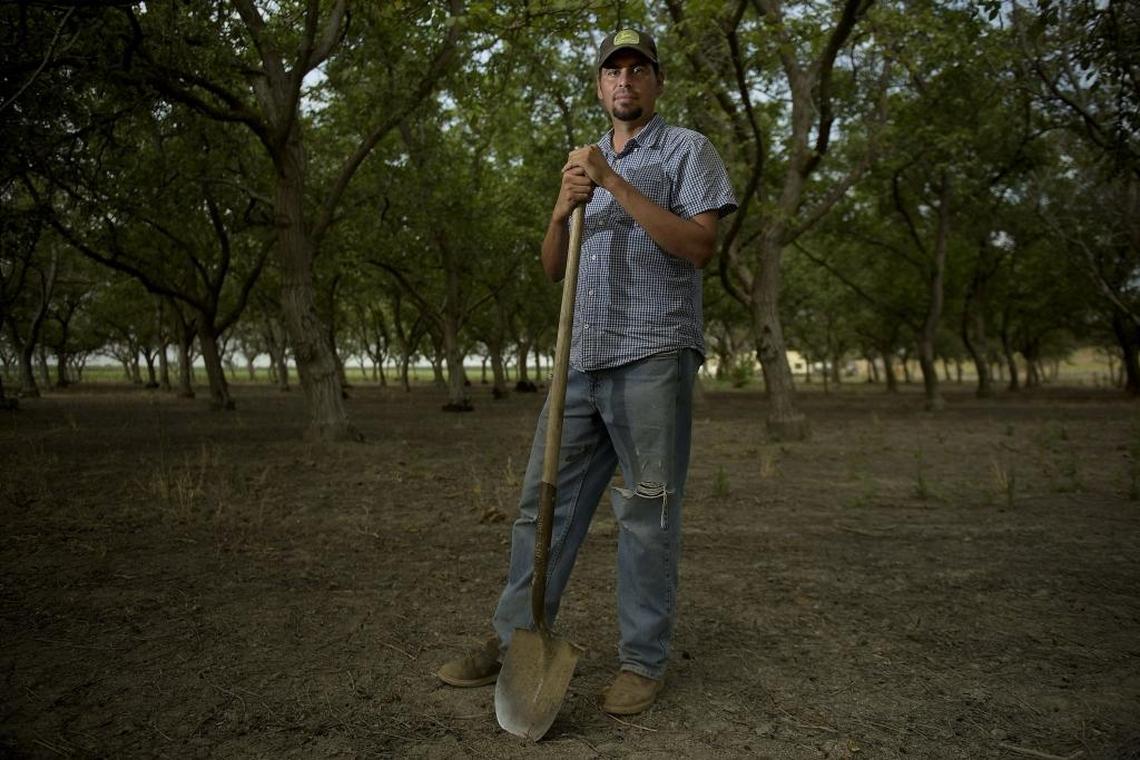 Walnut grower Ricardo Garcia in his orchard in West Sacramento on Friday, August 4, 2017. He is one of many farmers who say they suffered looses due to the huge volume of water released from the Oroville Dam recently.
