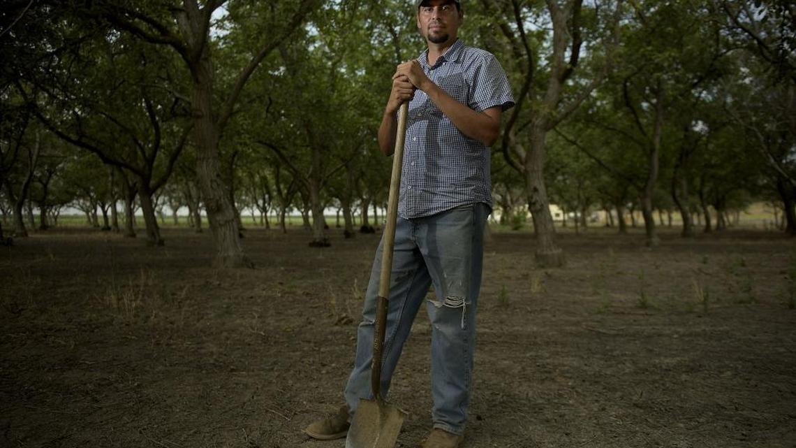 Fruit and nut farmers in California plead for Trump tariff relief: ‘It snowballed’