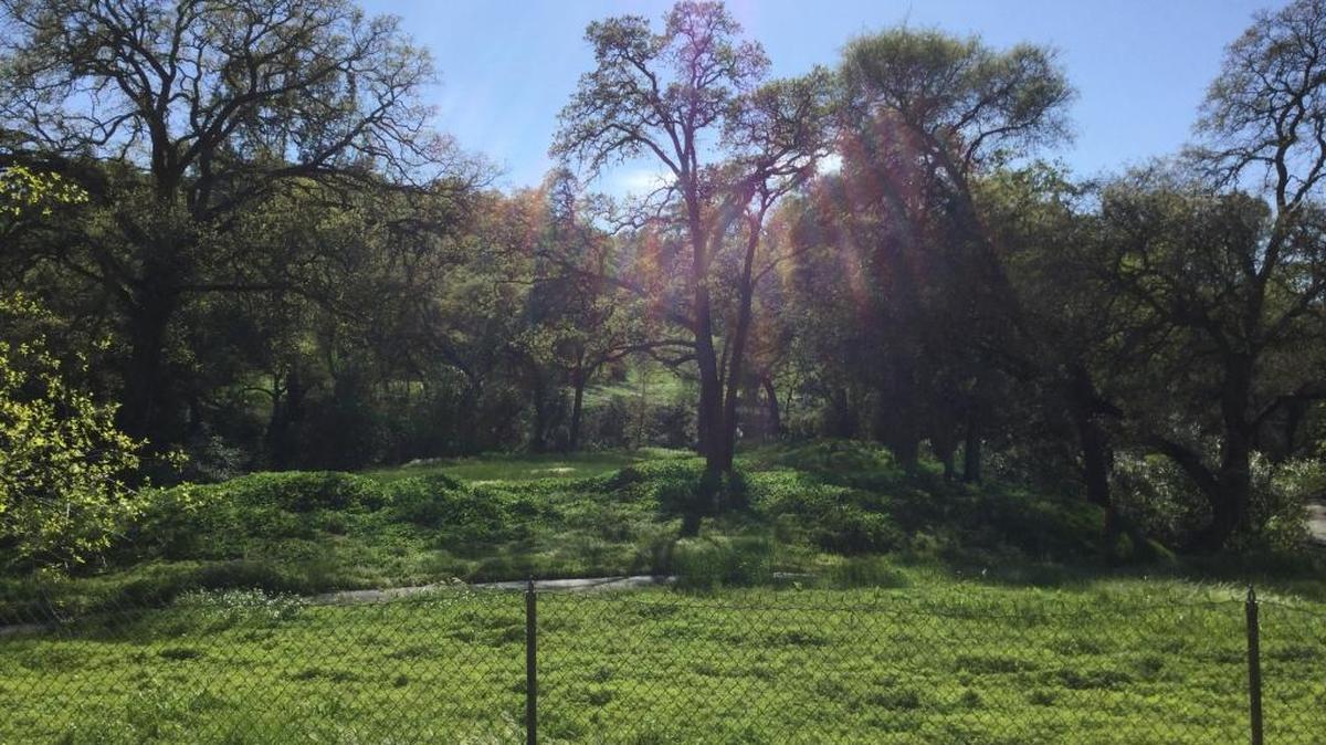 View into the Rocklin Golf Club from Midas Avenue. On Tuesday, Rocklin’s City Council told city staff to go to the negotiating table with the Rocklin Golf Club’s property owner, a management group led by PGA professional Charlie Gibson.