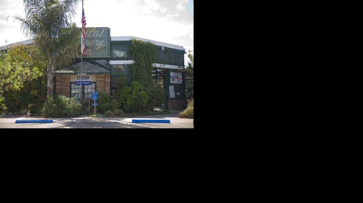 
Family-owned Capital Nursery, with locations in Sacramento, Citrus Heights, Elk Grove and Rocklin, had for 76 years been a destination for generations of green thumbs across the Sacramento area. The Elk Grove Boulevard location was so much a part of the community that locals commonly referred to Capital as the Elk Grove nursery. The company’s store on Freeport Boulevard in Sacramento (pictured) opened in 1936.
