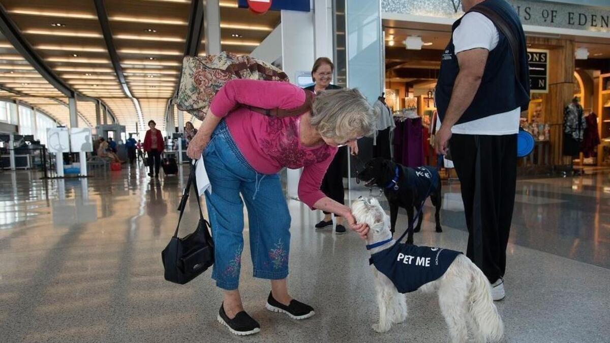 Expect bigger crowds, longer lines, full parking lots, and some ‘therapy dogs’ to pet at Sacramento International Airport this holiday season.