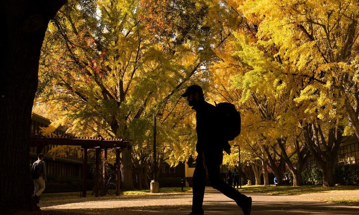 Students walk beneath a canopy of fall foliage on the campus of Sac State in Sacramento on Wednesday, Nov. 18, 2015.