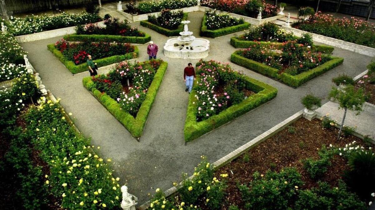 Rose Garden at Citrus Heights Civic Center (site of the old Fountain Square Nursery) was nationally recognized but lost to the new development. As part of a new legal settlement, the city has committed to working with the community to try to develop a replacement rose garden, with volunteer support, elsewhere in the city. Photographed Tuesday, April 22, 2003. Sacramento Bee / Owen Brewer