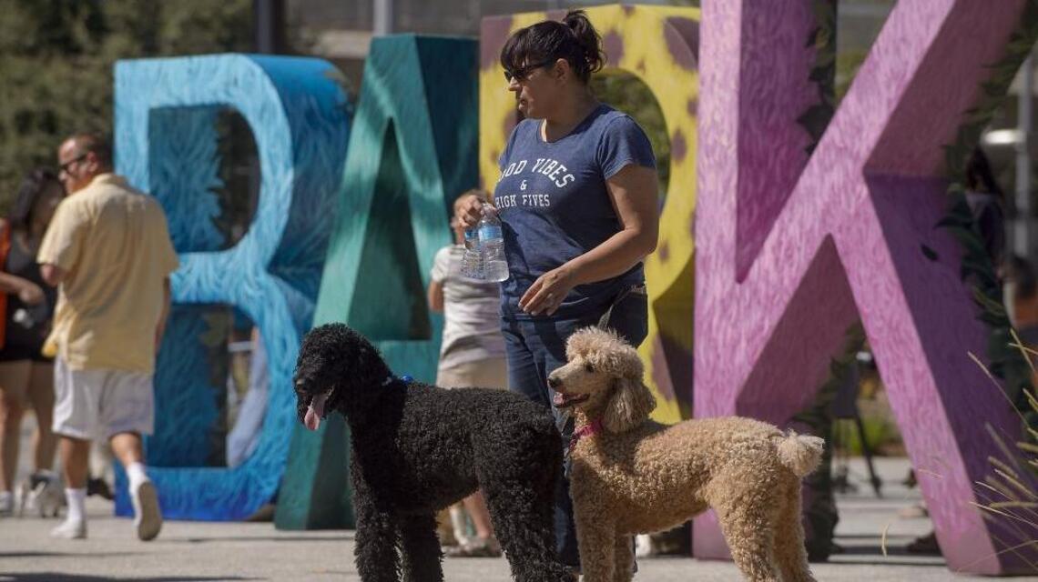 Sacramento ranked among best dog park cities in US. Here’s what it has to offer pet owners