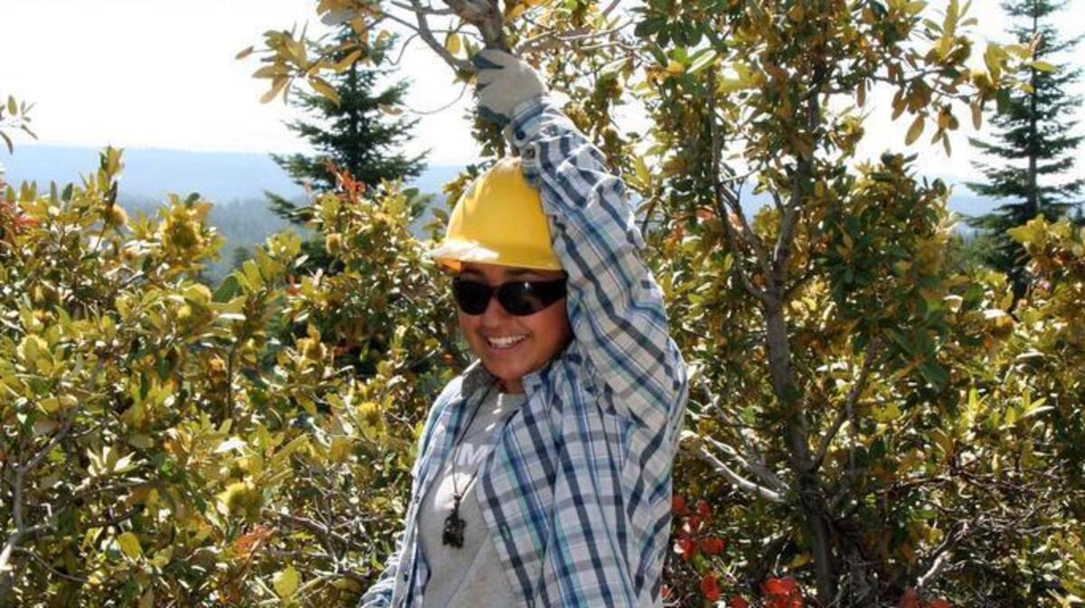 
Christine Alizaga of Pinole shows off her manzanita trophy while doing brush removal along the Pacific Crest Trail near Bucks Summit.
